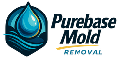 Purebase Mold Removal
